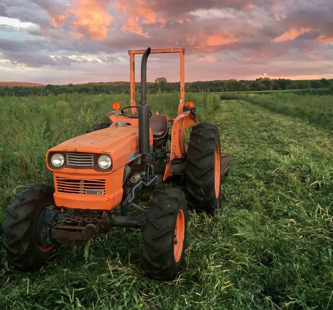 An orange tractor in a field at sunset, Blooming Hill Farm